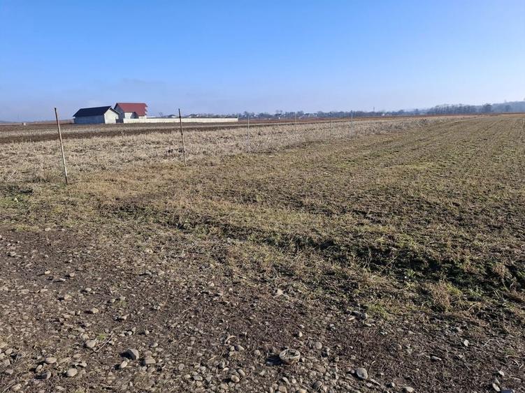 Vand teren extravilan - intravilan 4500 mp2 - 2