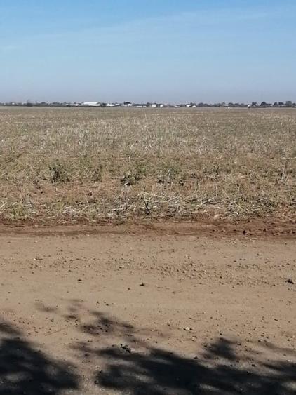 Teren Adunatii Copaceni - 2