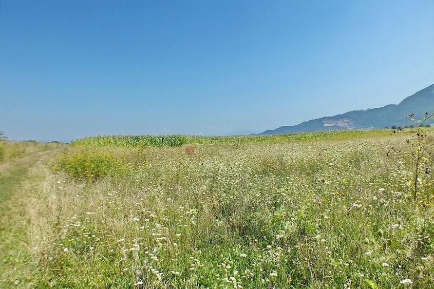 Pretabil Investitie - 4