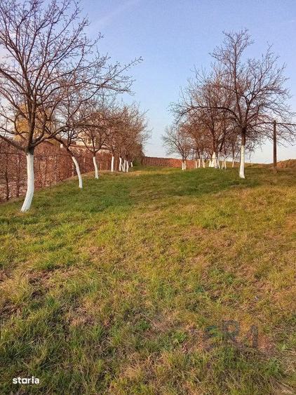 Teren Alparea , Str. Principala - 1