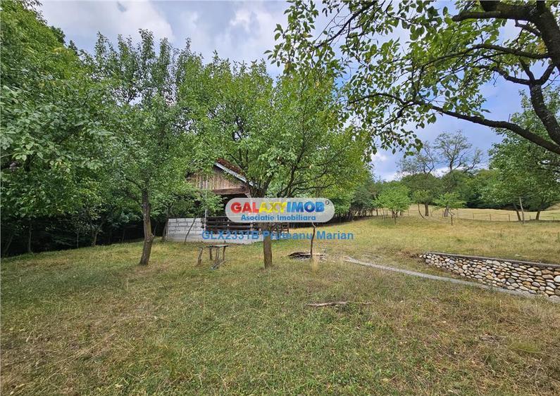 Teren 2680 m situat la Curtea de Arges cu iesire spre Trans - 6