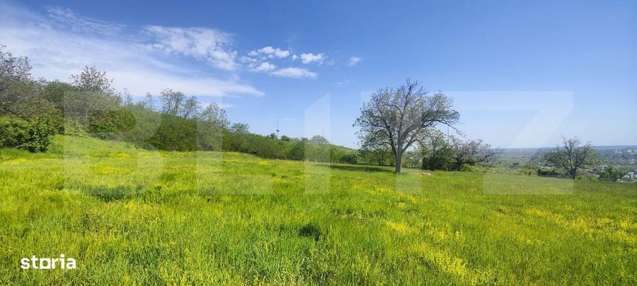Teren Panoramic 15.500 mp Investitie sau Dezvoltare, Zona Aleea Ma - 15