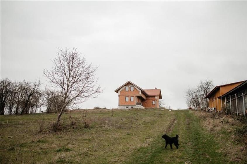 FILM! Domeniu de 5.000mp +Casa, in Berchez:o bijuterie ascunsa a Maramuresului - 2