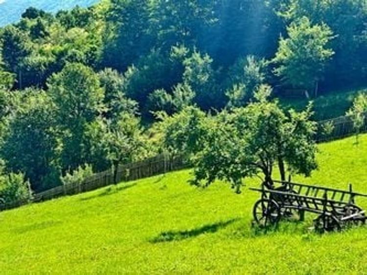 TEREN cu Priveliste, in Schei - 1