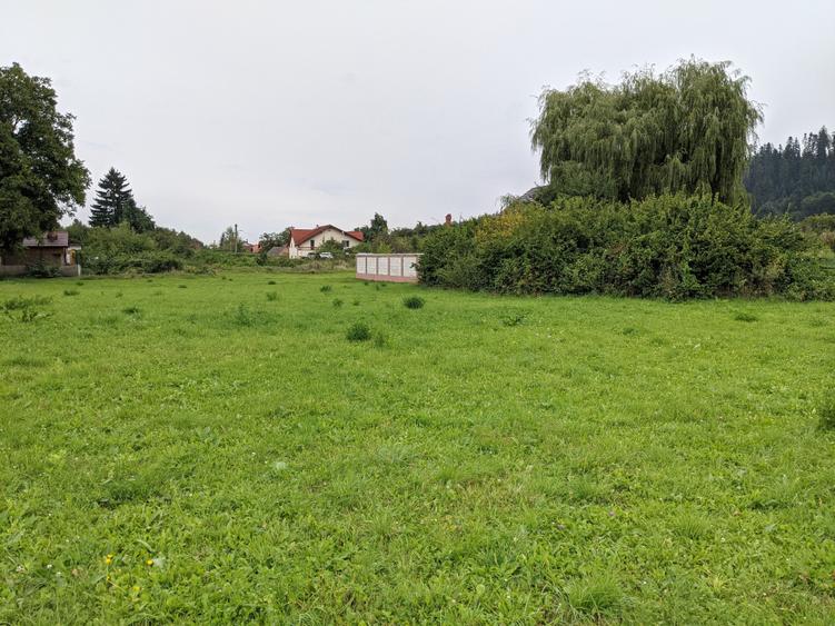 Cristian teren cu toate utilitatile si vedere frumoasa - 2