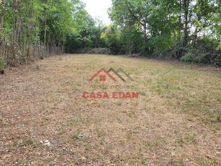 Teren intravilan in Banesti--2093mp--59.000e - 2