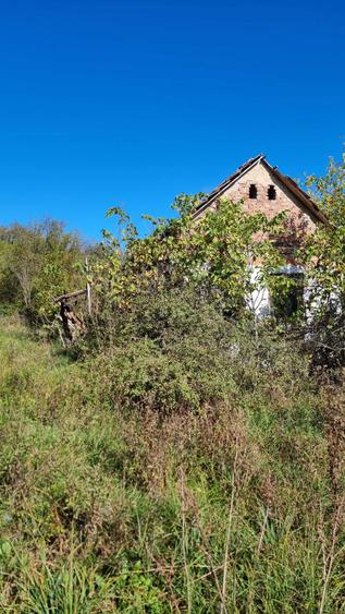 Vand salas in comuna Sichevita - 4