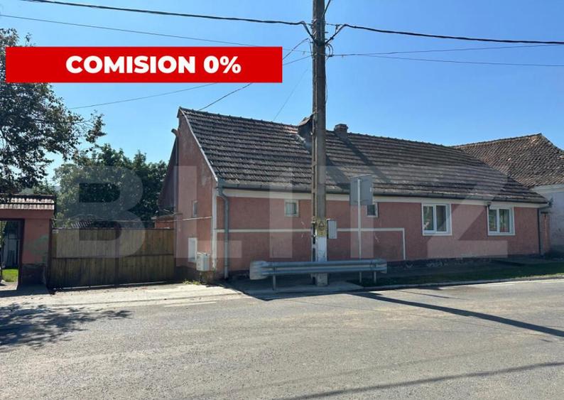 Casa saseasca de vanzare, curte, gradina, teren 3000 mp - Ji - 2