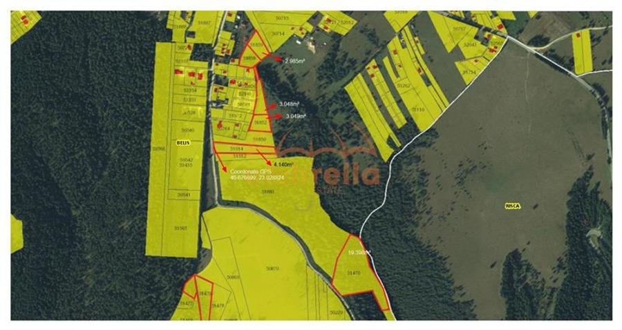 De vanzare in Belis 3.049mp - 1