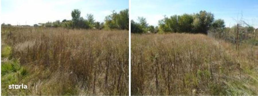 Teren Branceni, ID: R2942560 - 5