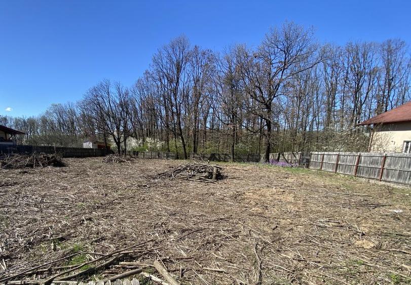 Teren de vis langa Pitesti - 2