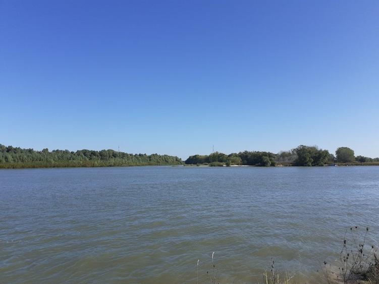 OCAZIE : INTRAVILAN com. MURIGHIOL - 19 euro/m.p. Deschidere Dunare  74 m. - 2