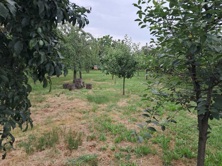 Teren de 3122 mp, în Bilciurești
