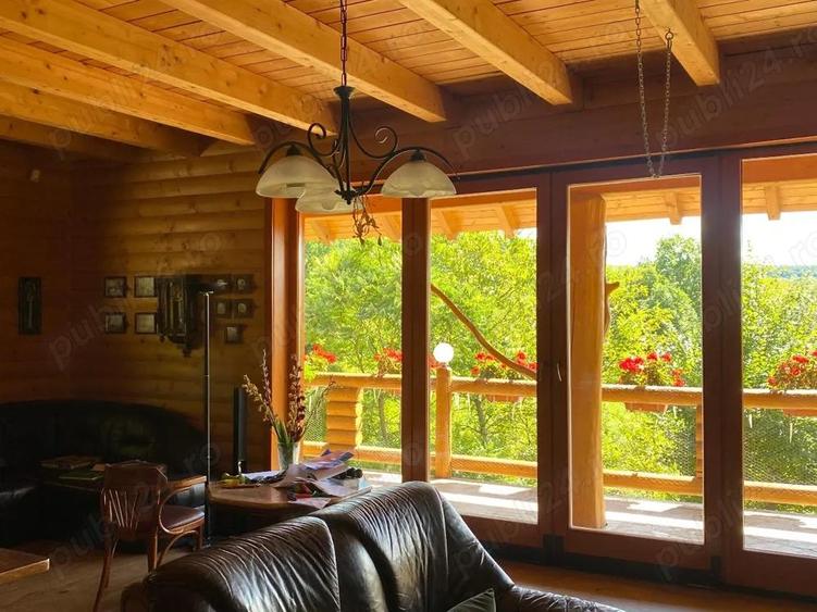 Locuin?a de vis cu poten?ial agroturistic, sat Carbunari - 1