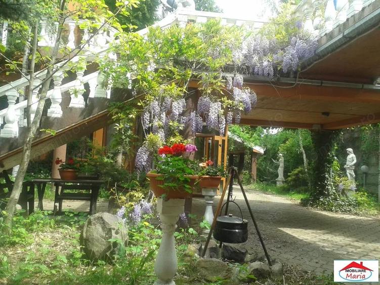 Casa solida cu teren 719 mp in Piata Titulescu - 4