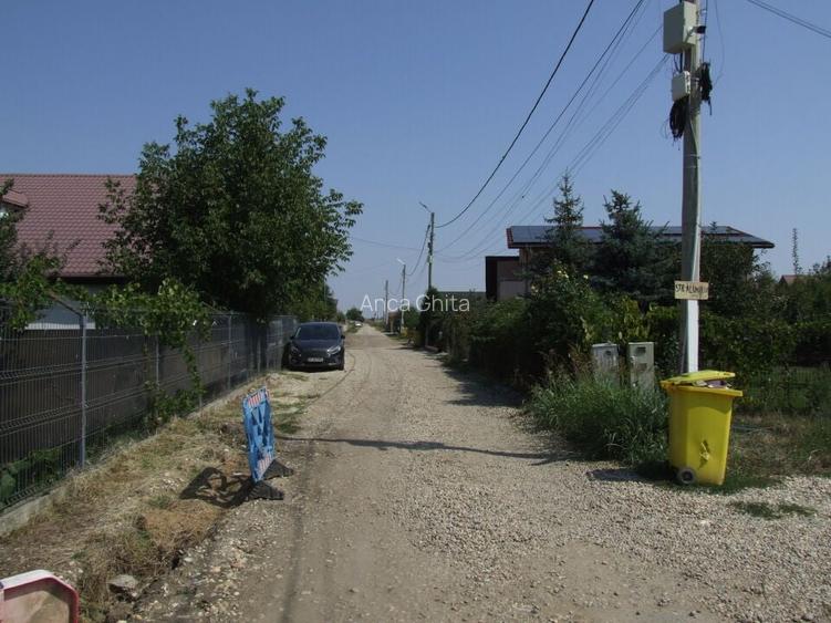 Domnesti-Teghes(Pinului)