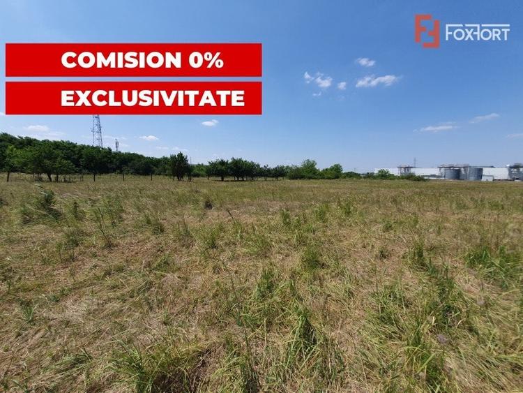 COMISION 0% Teren de vanzare intravilan de 5000 mp in Chisoda - 12
