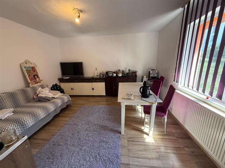 Casa individuala cu 2 camere si 495 mp teren in Sura Mare - 4