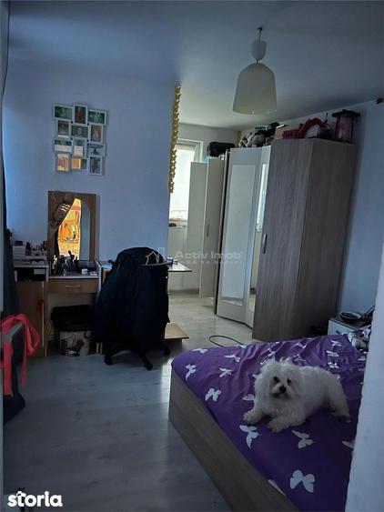Casa P+E , teren 300 mp, pretabila - clinica, birouri, locuinta - Parc - 11