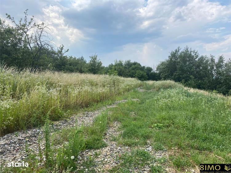 Teren 500mp Falticeni - 1