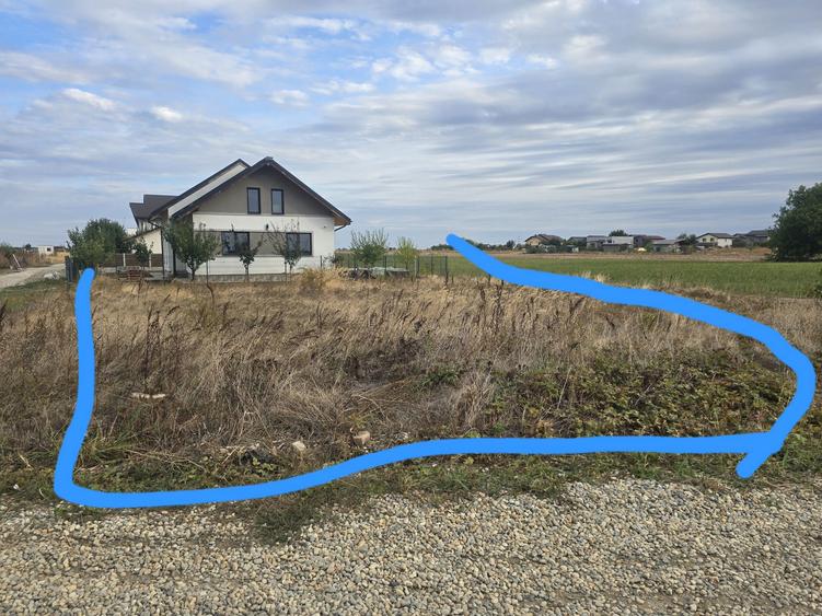 Vand teren Comuna Berceni ilfov - 8