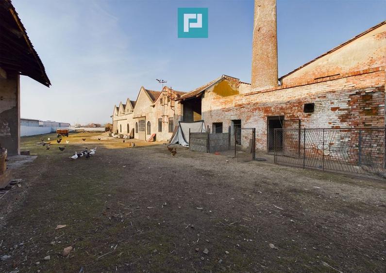 Teren ?i hale pe Calea Aradului din Periam - 11