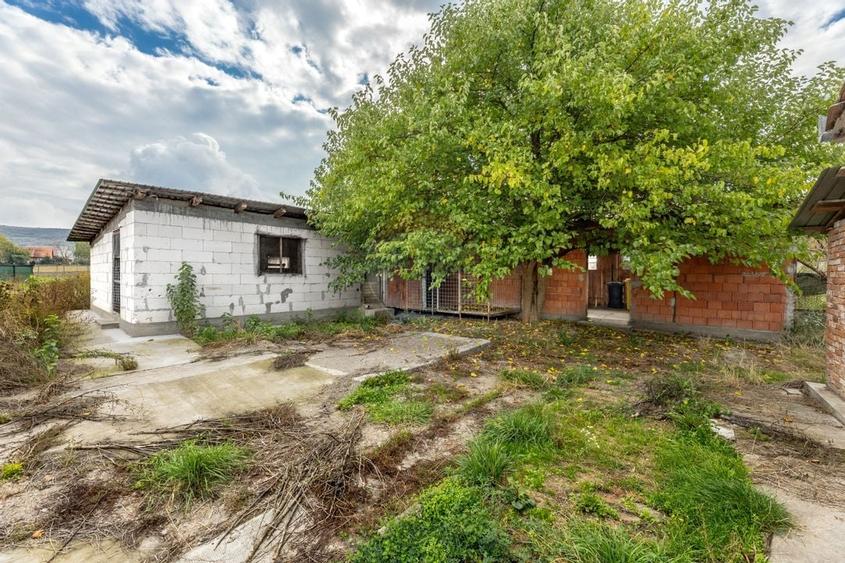 Casa spatioasa in Pancota ideala pentru doua familii - 15