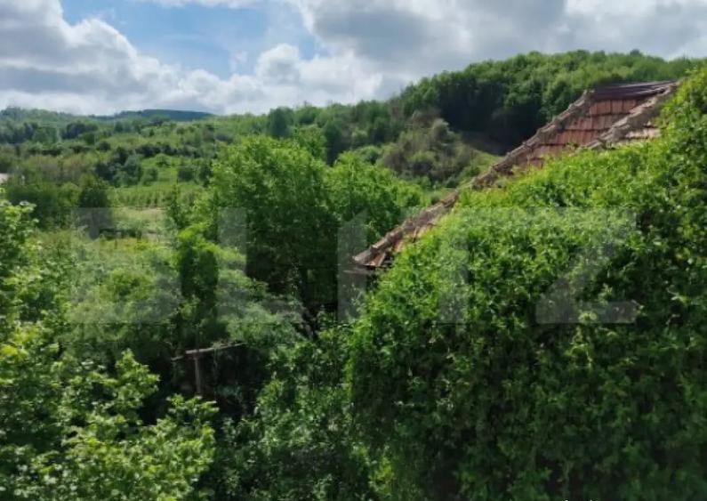 Proprietate cu teren generos 1.500 mp Casa P+1 Voinesti - 17