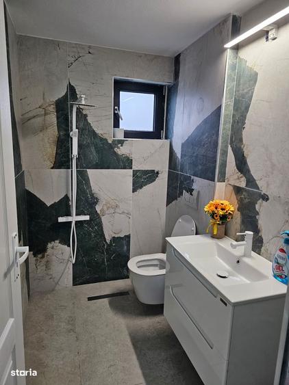 Hala / Zona Goranu / Ramnicu Valcea / - 7