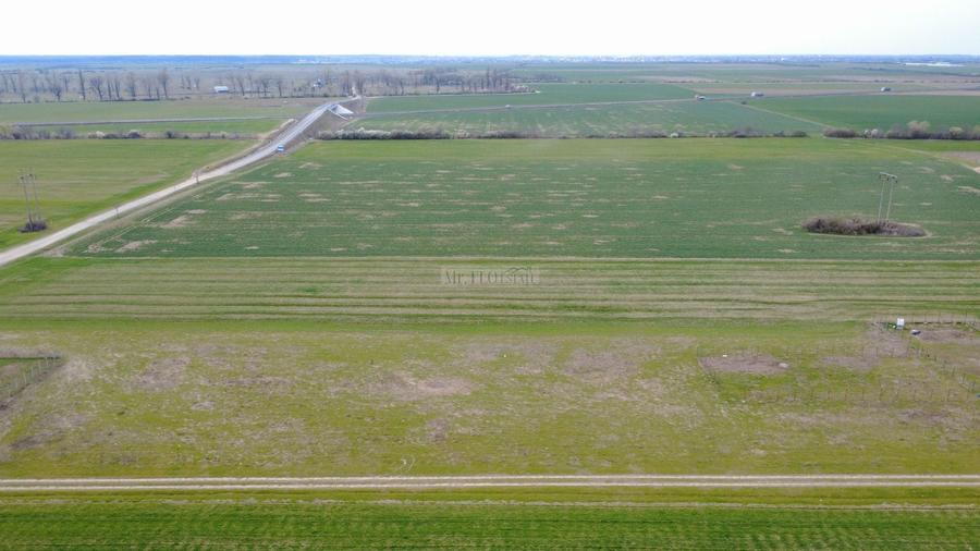 Teren ideal pentru casă sau investiție – Chișoda (Giroc), Poligonului - 5