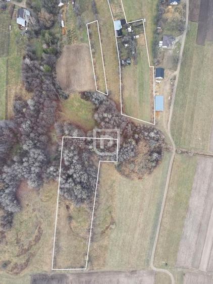 Casa traditionala la tara cu livada | Poieni-Solca - 1