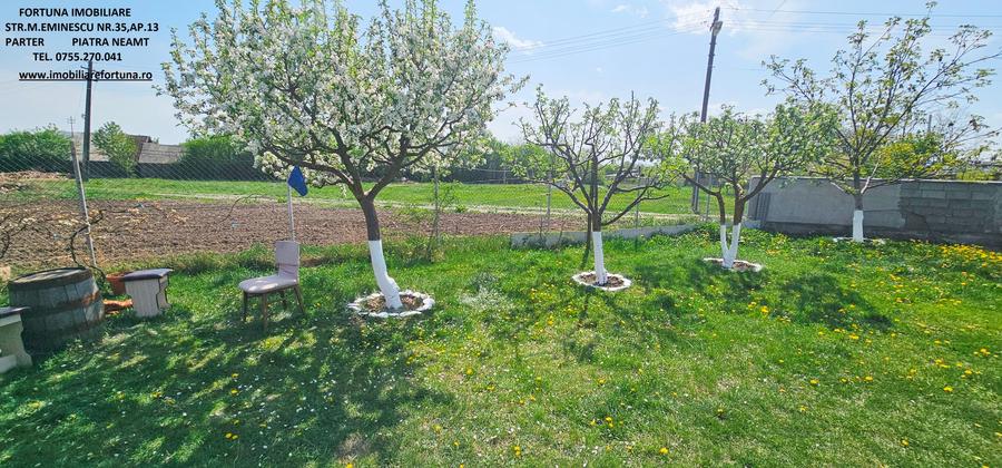 Proprietate Slobozia-Roznov, casa mansardata, teren si livada - 17