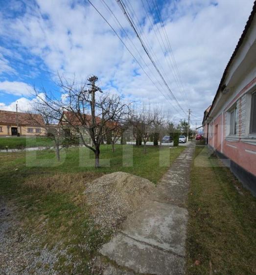 Casa saseasca de vanzare, Livezile - 4