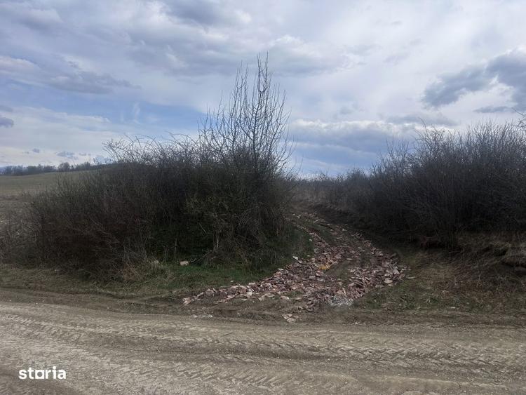 Teren Extravilan Sigmir Drumul Cailei 5100 mp - 16000 euro. - 3