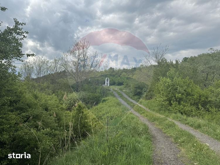Proprietate OFF-GRID 5,76 Ha. Casa tradi?ionala lemn. Limita Cluj - 14