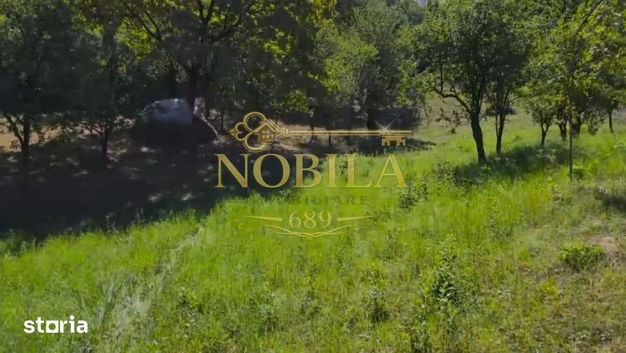 Teren intravilan + extravilan 10.537 mp casa, livada sau ferma de fa - 10