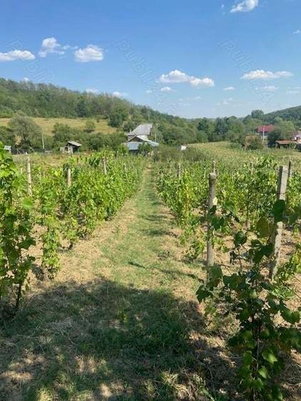 Vand casa Dragasani, Carcadiesti - 7