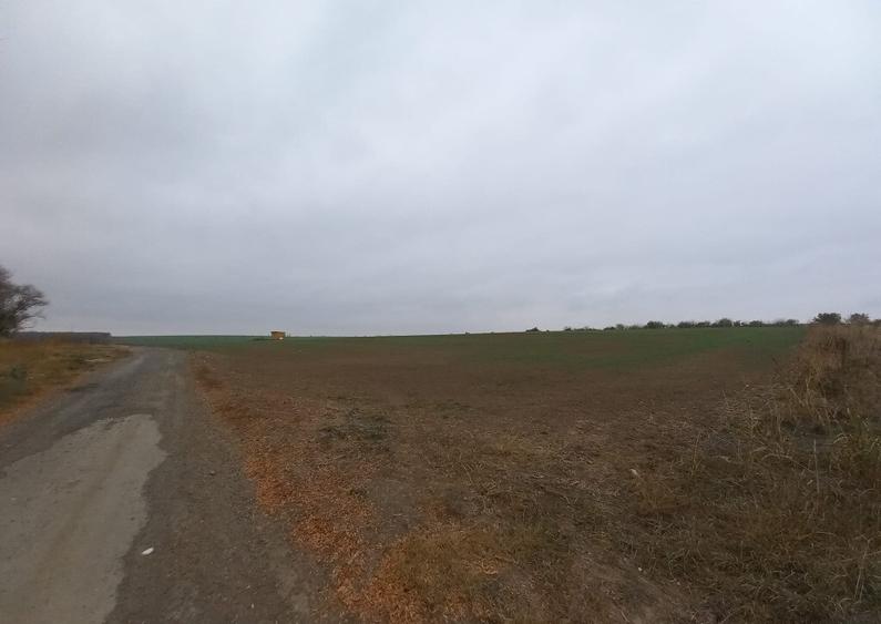 Teren de vanzare in Valu Lui Traian, Cartierul Nou - 403 mp - 2