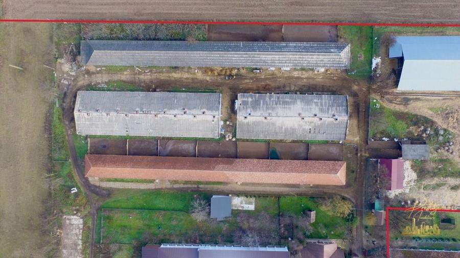 Domeniu - Centru de colectare, 7 ha de vanzare in Valea lui Mihai - 15