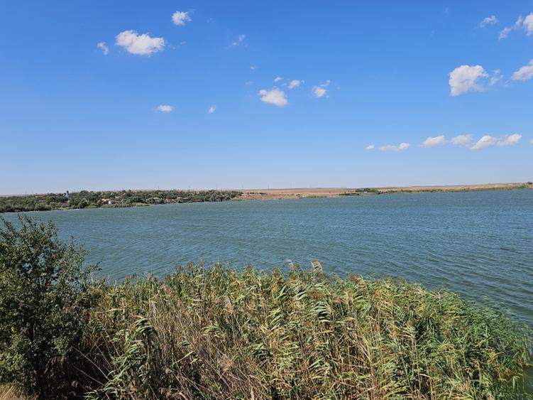 Teren Extravilan 10000 Mp Sibioara Constanta - 18