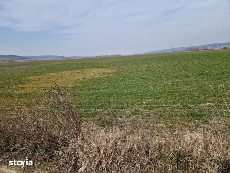 Teren de 3300 mp, în Șimnicu de Sus