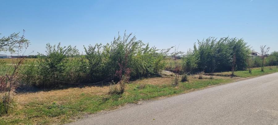 Teren intravilan Balotesti, Complex Good Afternoong - 7