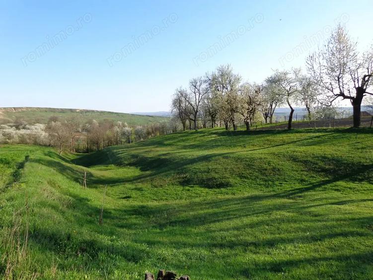 Casa cu anexe si teren - 8