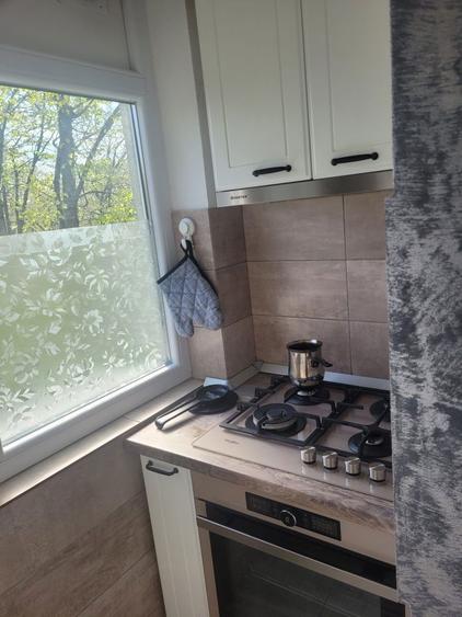 Vand apartament 2 camere Moghioros parc - 6