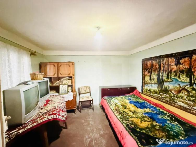 Oaza de lini?te in Titu Salcu?a - 9