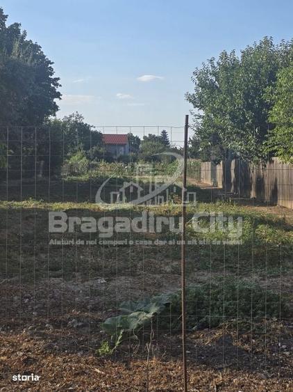 Teren toate utilitatile stradal Cornetu - 3