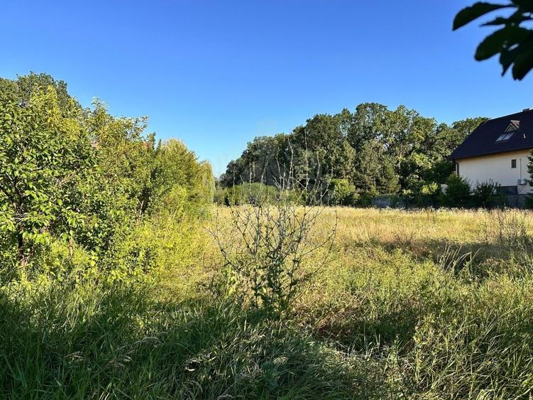 TEREN INTRAVILAN //GAGENI//PAULESTI - 1