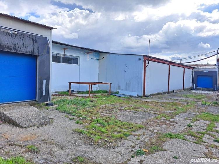 Proprietar inchiriez Abator cu 6400 mp teren intravilan,3000 mp curte betonata+ 1200 mp Frigo - 6