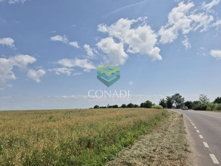 Teren - dezvoltare rezidentiala - Tunari 10.000 mp - 1