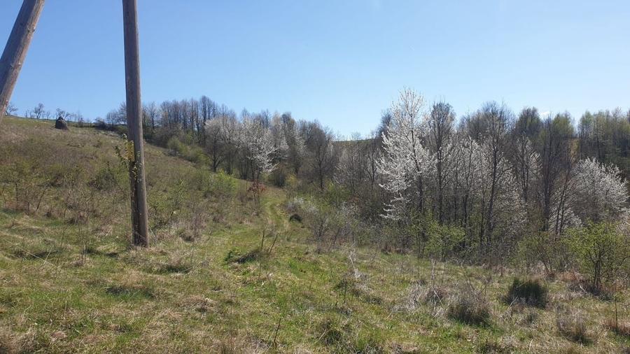 Teren cu panoramă fabuloasă, 10.059 mp, Roșia. 19.000 EUR. Comision 0 - 2